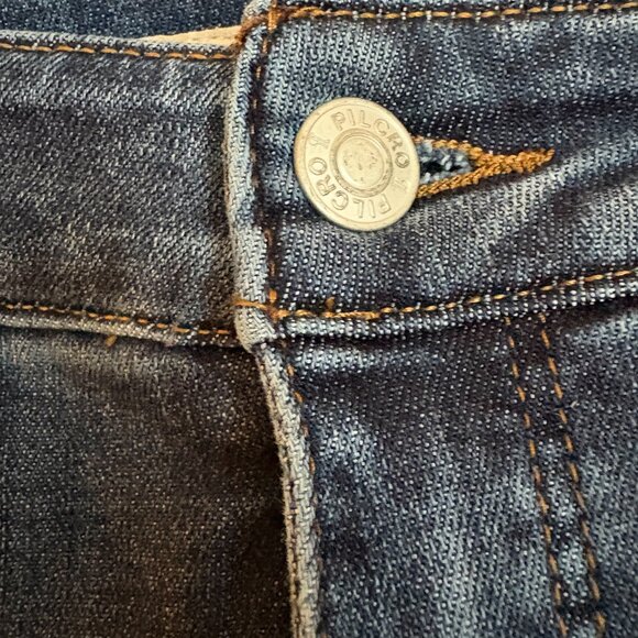 NWOT Anthropology Pilcro High Rise Denim Skinny Jeans. Size 29 - Picture 3 of 11